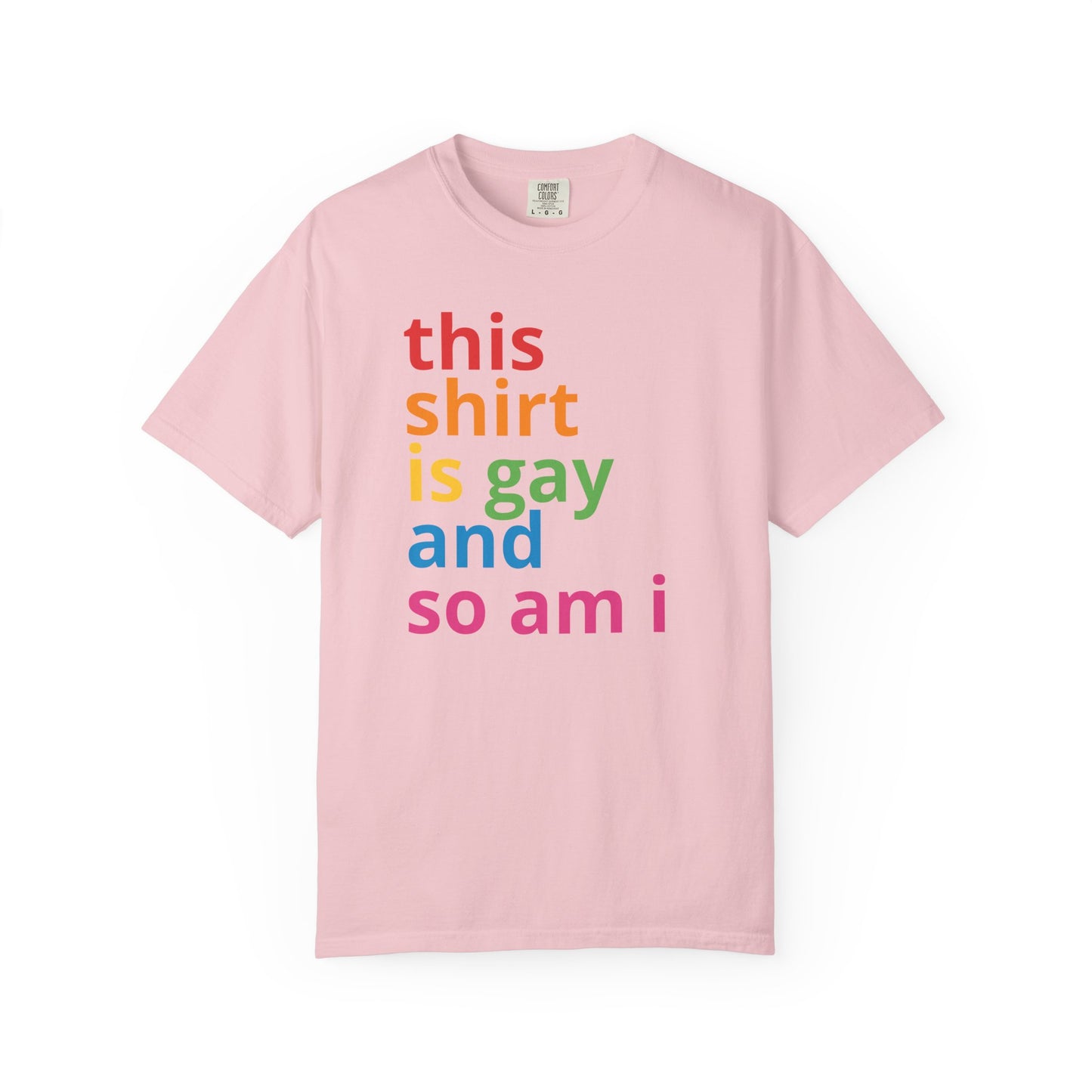 "This Shirt Is Gay and So Am I" T-Shirt