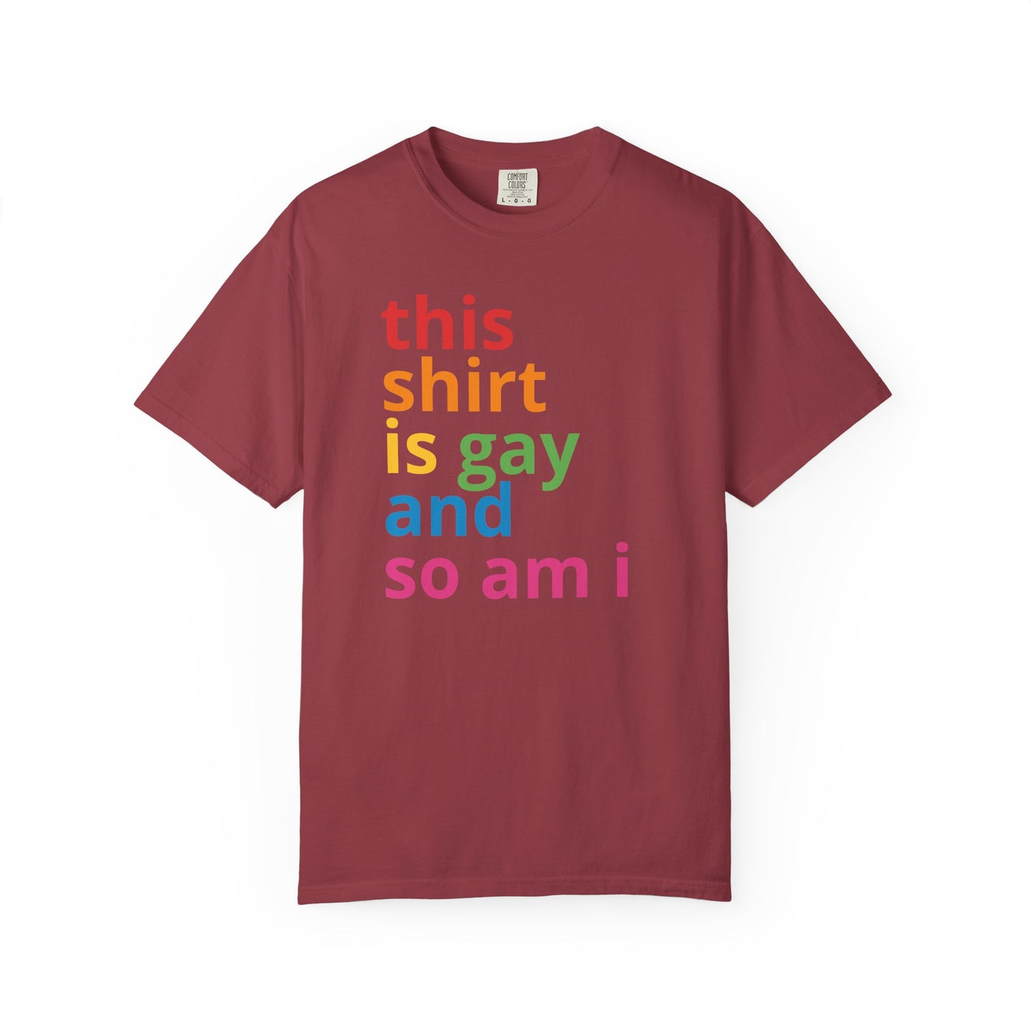 "This Shirt Is Gay and So Am I" T-Shirt