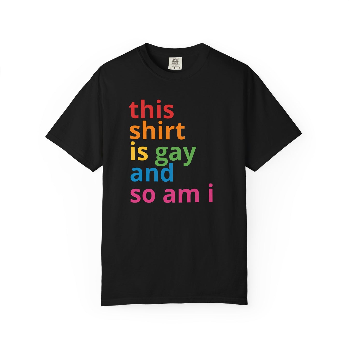 "This Shirt Is Gay and So Am I" T-Shirt